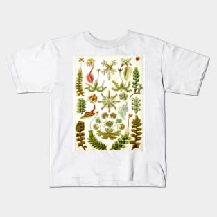 Watercolor botanical vintage Floral minimalist print 2 Kids T-Shirt